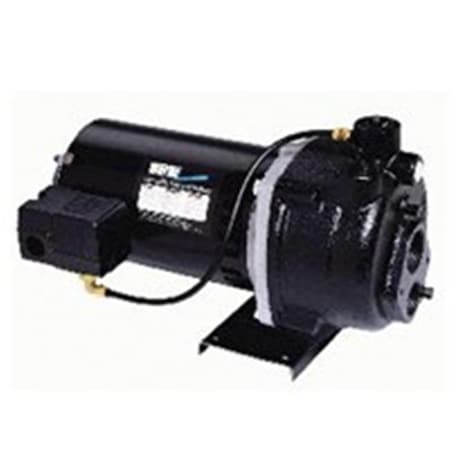 Wayne Wayne Pumps CWS75 0.75 HP Deep Well Jet Pump 6173611